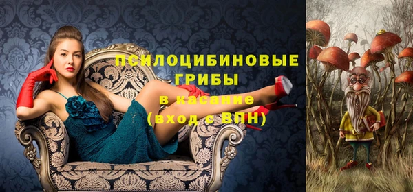 молекула духа Алзамай
