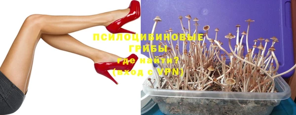 молекула духа Алзамай