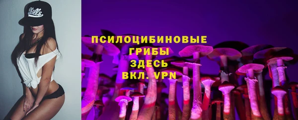 молекула духа Алзамай