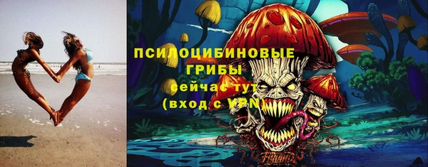 молекула духа Алзамай