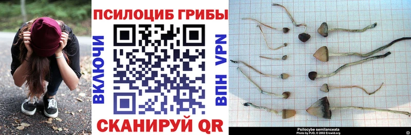 hydra вход  Хвалынск  Галлюциногенные грибы мицелий 